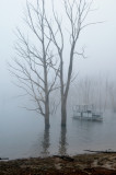 Boat in the fog 2