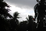 Just before a Storm