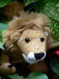 Roar!
