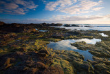 Rockpool Reflection