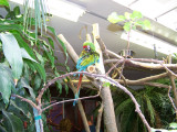 100_0490.JPG