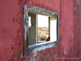 Desert Window 7169