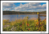 Long Pond