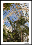 Biltmore Conservatory Palm House