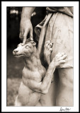Diana's Dog