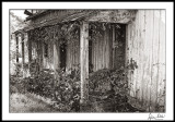 Old Porch