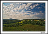 Landscapes, Color and Monotones