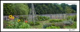 Early Morning in the Garden pano
