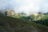 Big Sur ST park, California