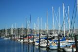 Sausalito harbor, California