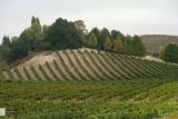 Wine country, California