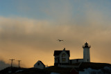 62DSC03561.jpg STORM FRONT FLIGHT nubble light lighthouse york beach maine