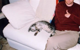 Eddie 12 wks
