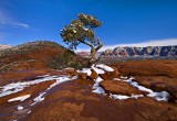 Sedona  Red Rock Snow