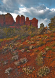 _MG_9987 Coffee Pot Rock  (far right) & Desert Flowers