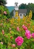 _MG_0291 Flowers & Church (Posterized Image)