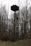 IMG_0152.jpg