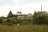 IMG_1264.jpg