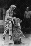 Vintage Circus 11 .jpg