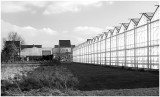 Greenhouses