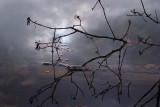 Reflections #3