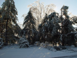 Ice/Snow Storm - December 2006