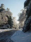 Ice/Snow Storm - December 2006
