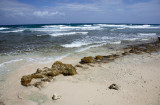 _G2F0685.jpg
