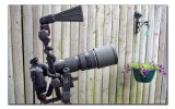  D200 w/grip, 200-400 f4, sb800, Stroboframe Pro RL,Giottos MT9180, Manfrotto 3421