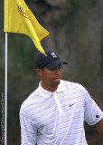 25476 - Tiger Woods