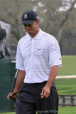 25538c  = Tiger Woods