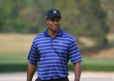 01912c - Tiger Woods