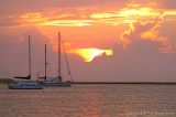 2846 - Sailboats at Fernandina Beach