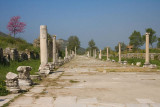 101_Ephesus_Road_28104.jpg
