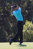 29615 - Tiger Woods
