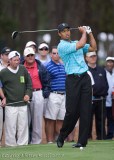 29528 - Tiger Woods