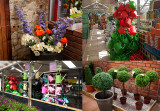 Craft Nurseries Ardleigh Essex