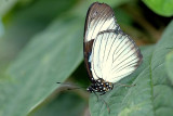 DSC_0003.JPG