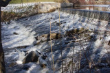 The whole water fall