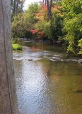 Michigan in autumn
