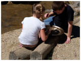 Panning for gold by the river