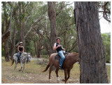 Can you help me to get the horse's head out?