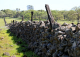 Rock Wall in Chico