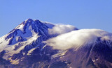 Mt Shasta