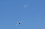 Aerobat with the moon in the background