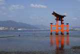 Tori at low tide