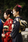 Japanese girls in kimono