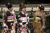 Japanese girls in kimono