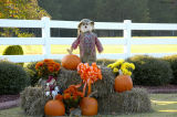 Happy Halloween!!!