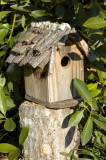 Lone Birdhouse
